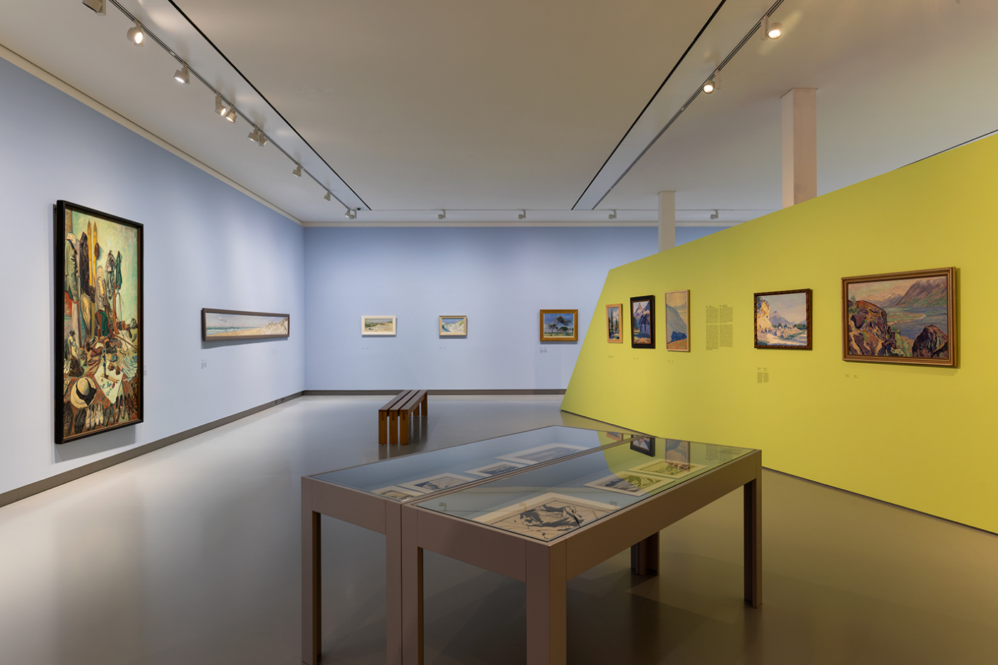Dirk Filarski - Over de top! in Museum Kranenburgh. Foto Michel Claus (13)