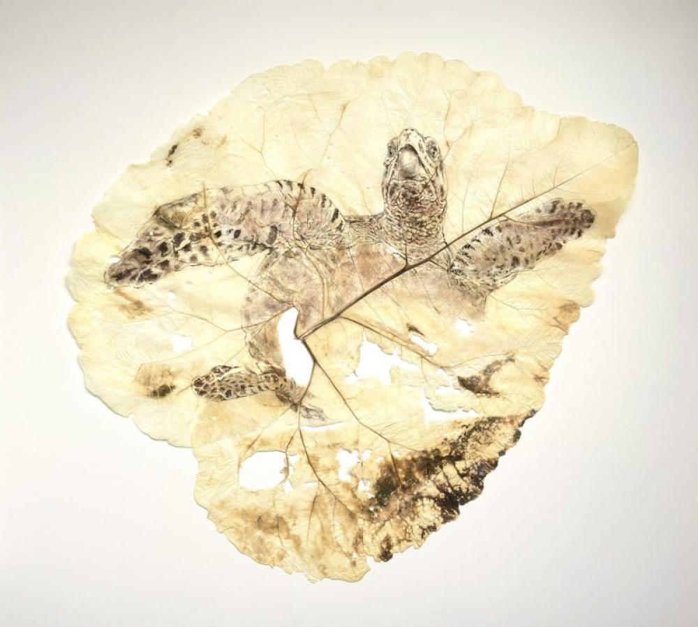 Botanische collages maken (volwassenen)